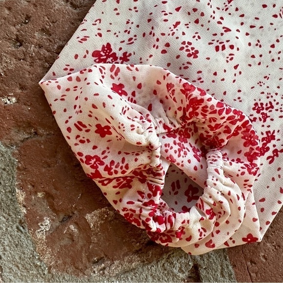 Princess Polly Cream & Red Floral Sheer V-Neck Wide Smocked Waist Mini Dress 8 - Picture 4 of 16